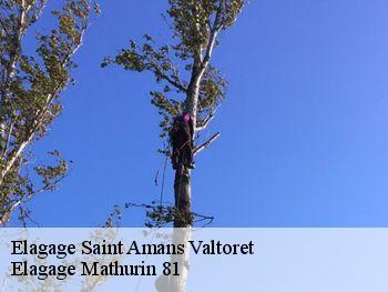 Elagage  saint-amans-valtoret-81240 Elagage Mathurin 81
