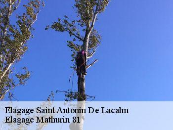 Elagage  saint-antonin-de-lacalm-81120 Elagage Mathurin 81