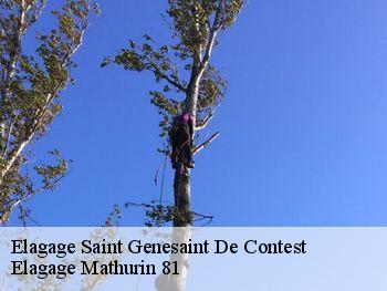 Elagage  saint-genesaint-de-contest-81440 Elagage Mathurin 81