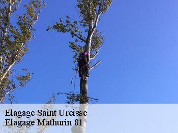 Elagage  saint-urcisse-81630 Elagage Mathurin 81