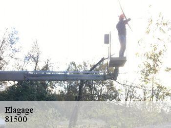 Elagage 81500