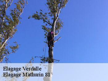 Elagage  verdalle-81110 Elagage Mathurin 81