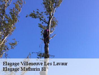Elagage villeneuve-les-lavaur-81500 Elagage Mathurin 81