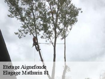 Etetage  aiguefonde-81200 Elagage Mathurin 81