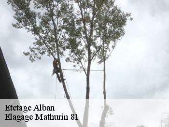 Etetage  alban-81250 Elagage Mathurin 81