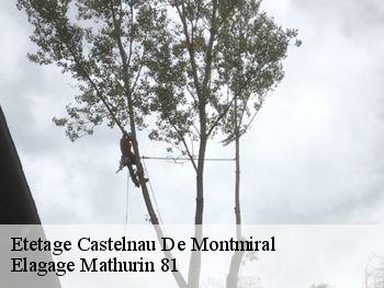 Etetage  castelnau-de-montmiral-81140 Elagage Mathurin 81