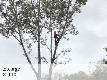 Etetage 81110