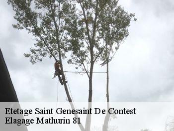 Etetage  saint-genesaint-de-contest-81440 Elagage Mathurin 81