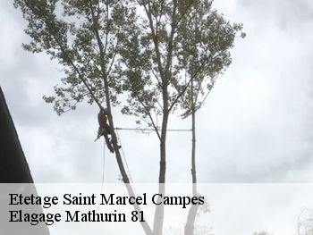 Etetage  saint-marcel-campes-81170 Elagage Mathurin 81