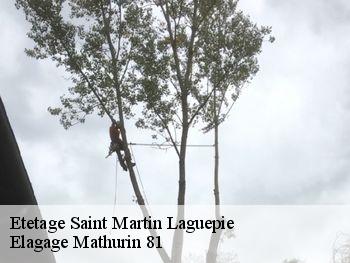 Etetage  saint-martin-laguepie-81170 Elagage Mathurin 81