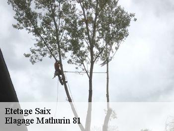 Etetage  saix-81710 Elagage Mathurin 81