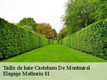 Taille de haie  castelnau-de-montmiral-81140 Elagage Mathurin 81