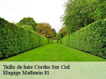Taille de haie cordes-sur-ciel-81170 Elagage Mathurin 81