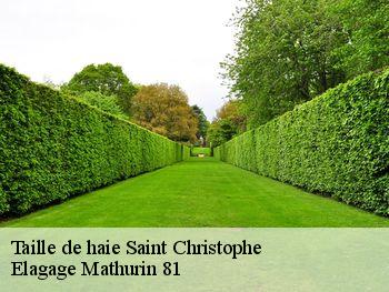 Taille de haie  saint-christophe-81190 Elagage Mathurin 81