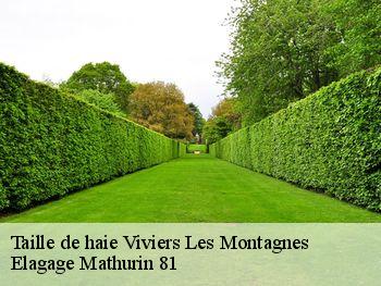 Taille de haie  viviers-les-montagnes-81290 Elagage Mathurin 81