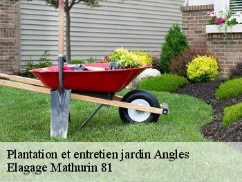 Plantation et entretien jardin  angles-81260 Elagage Mathurin 81