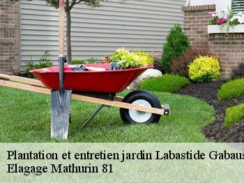 Plantation et entretien jardin  labastide-gabausse-81400 Elagage Mathurin 81
