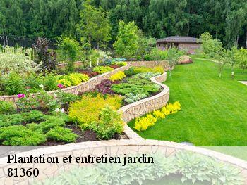 Plantation et entretien jardin 81360