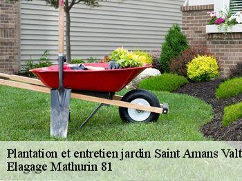 Plantation et entretien jardin  saint-amans-valtoret-81240 Elagage Mathurin 81