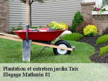 Plantation et entretien jardin taix-81130 Elagage Mathurin 81