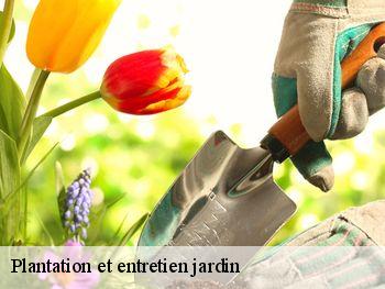 Plantation et entretien jardin